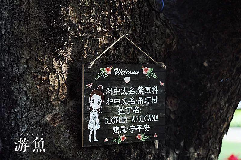 自然卷女孩逃生