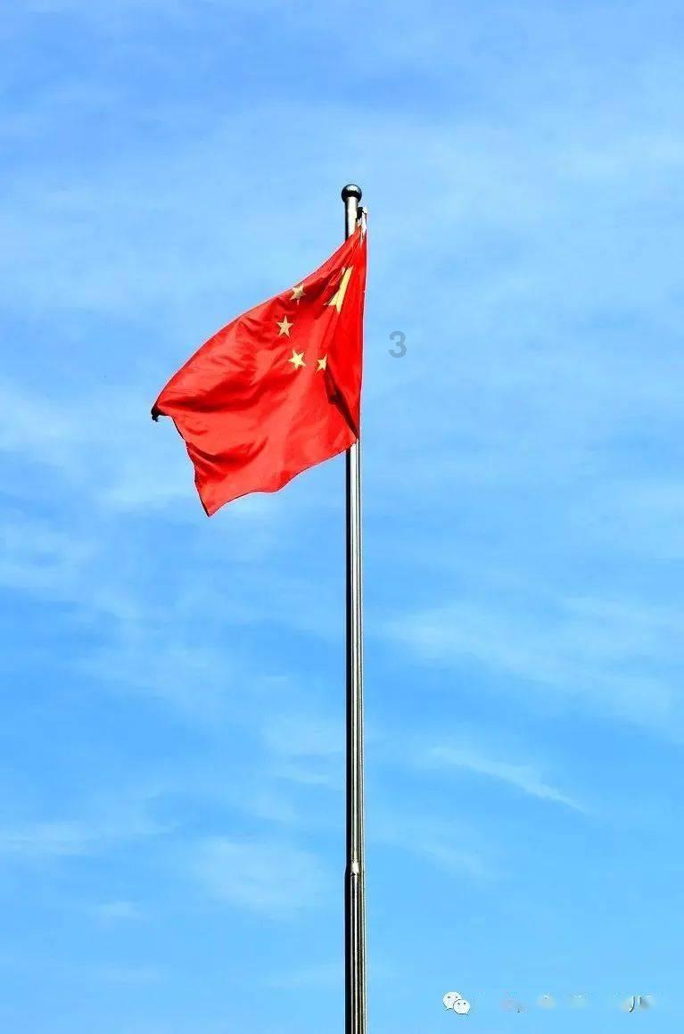 复仇机器人中文版