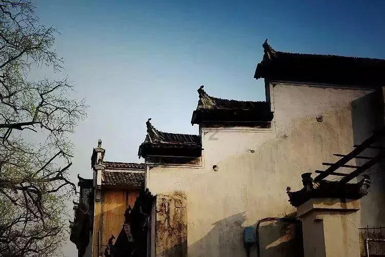全民剧本大师内置菜单