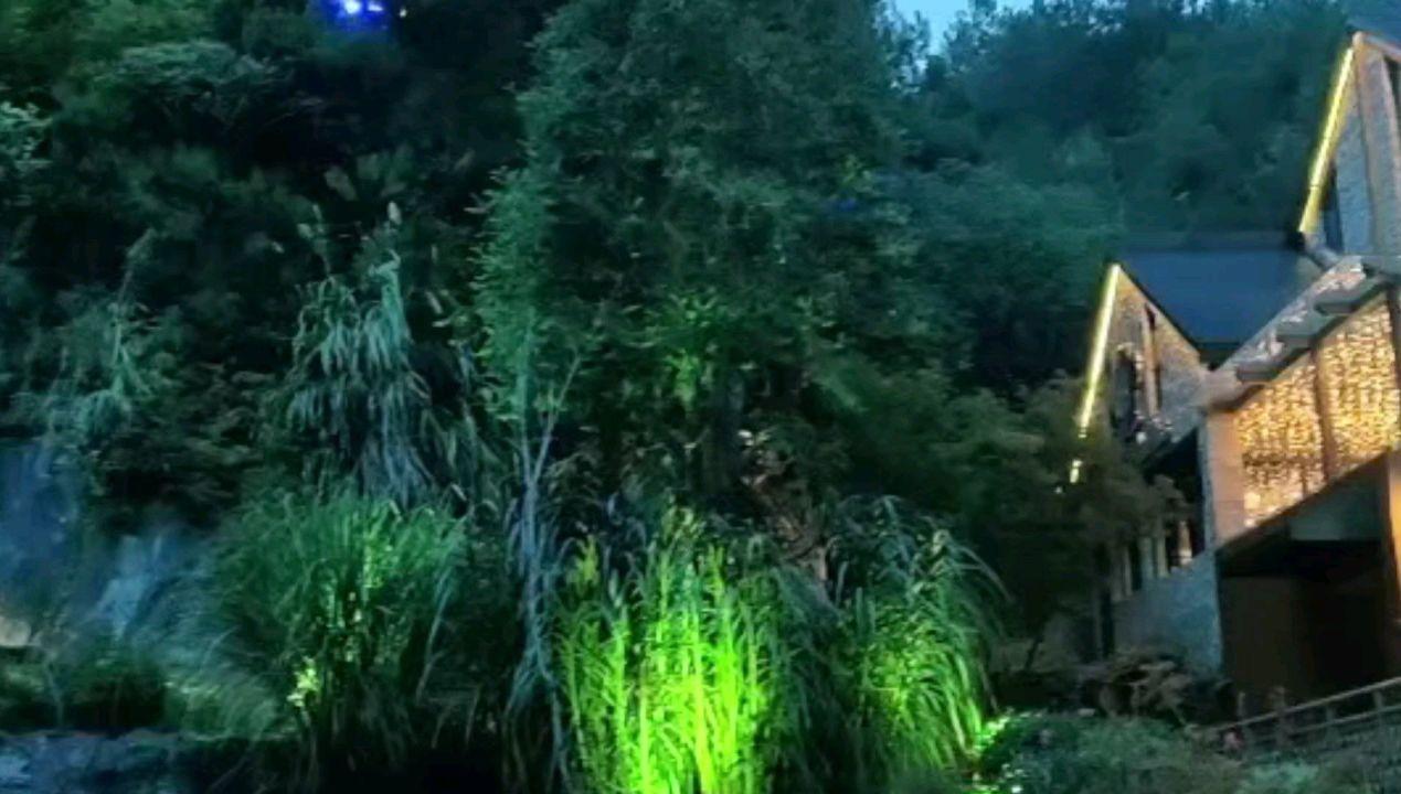V-威廉姆斯谈胜利：我们打得很努力 整晚都迫使猛龙投高难度的球